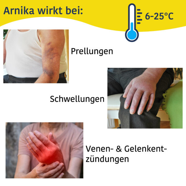 Quarkpack Arnika 4er Pack – Bild 3